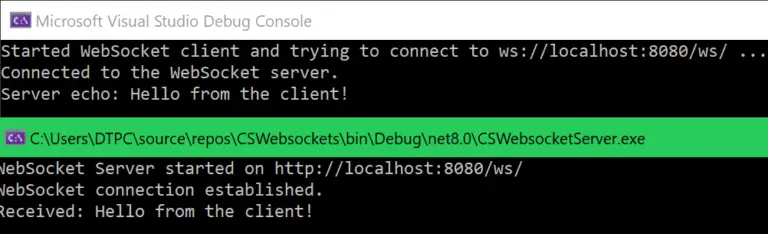 cs websockets demo resulting output