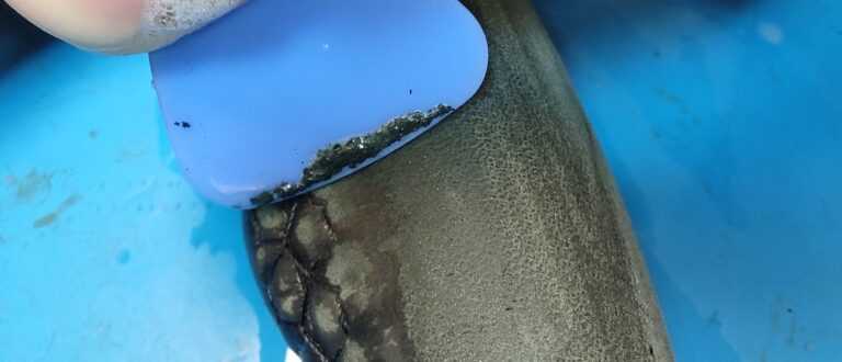 bmw f10 steering wheel dye removal tool